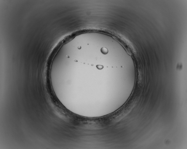 X0000101410580200807281027