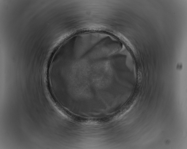 X0000101410581200807281027
