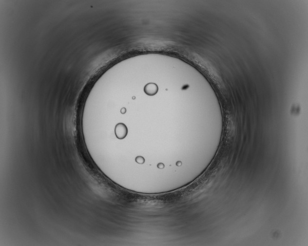 X0000101410582200807281027