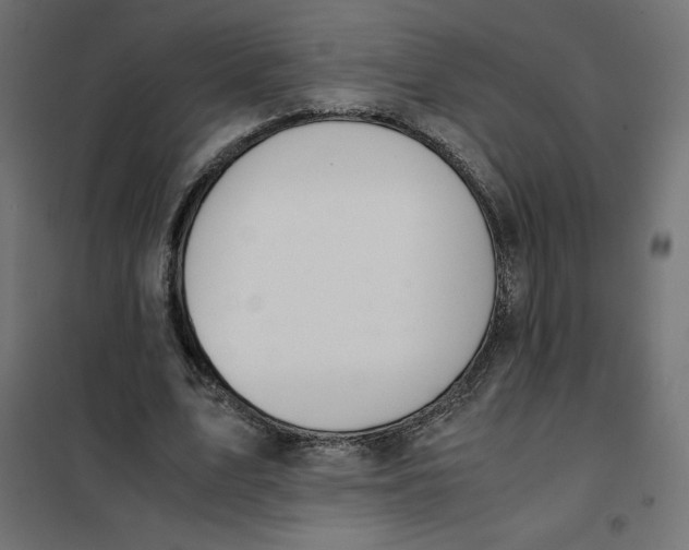 X0000101410583200807281027