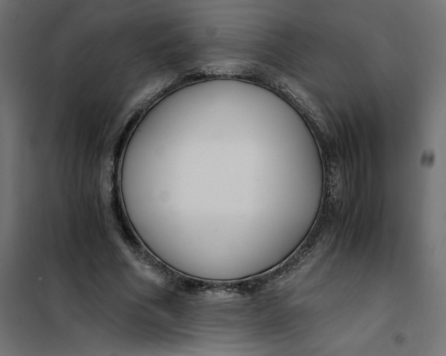 X0000101410586200807281027