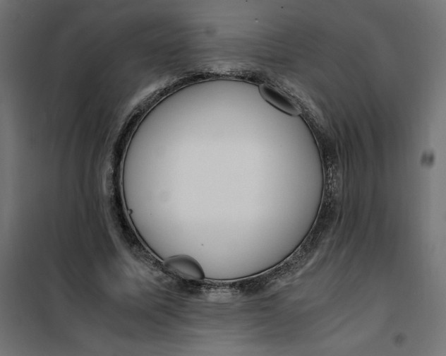 X0000101410587200807281027