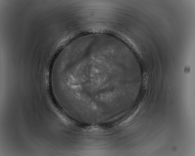 X0000101410589200807281027