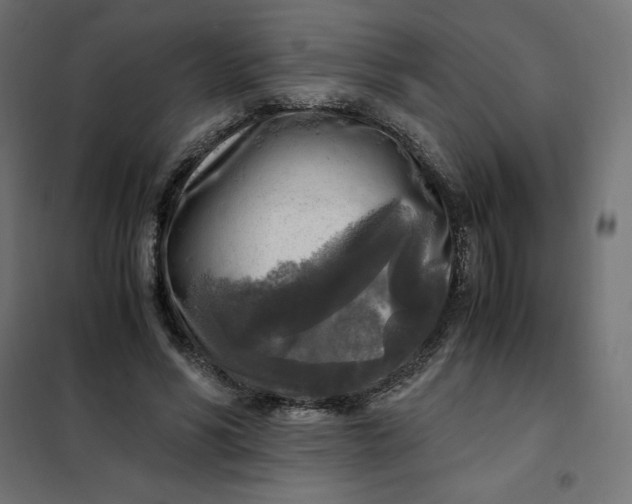 X0000101410590200807281027