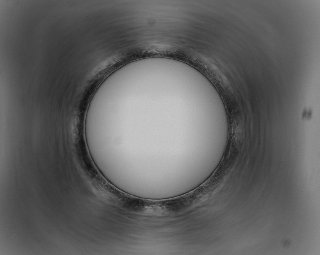 X0000101410591200807281027