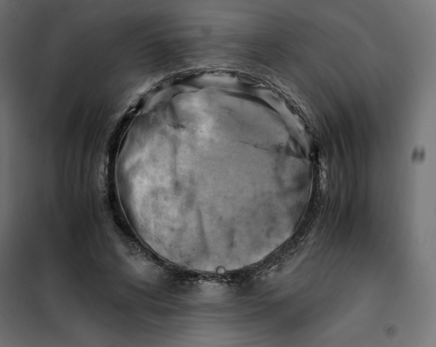 X0000101410592200807281027