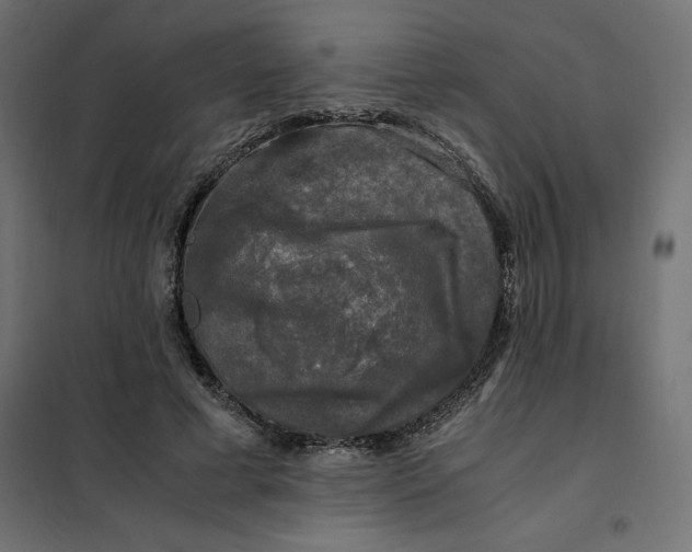 X0000101410593200807281027