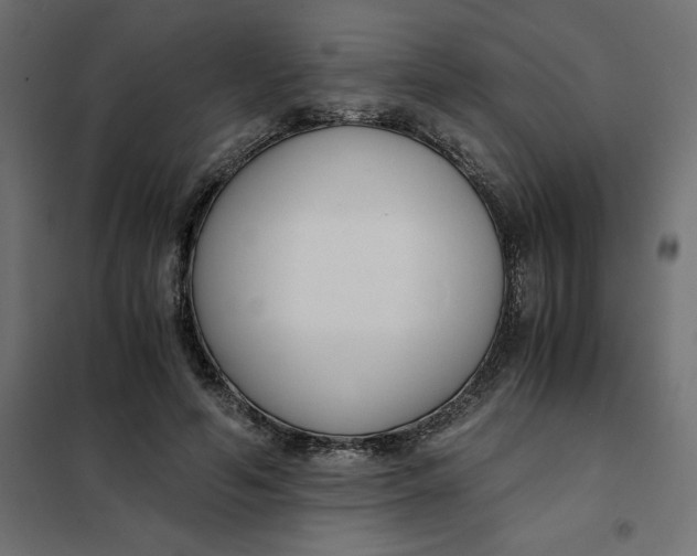 X0000101410594200807281027