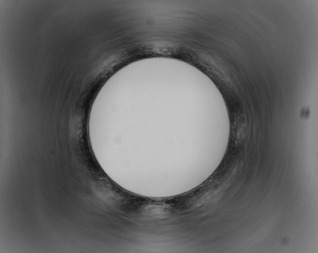 X0000101410595200807281027