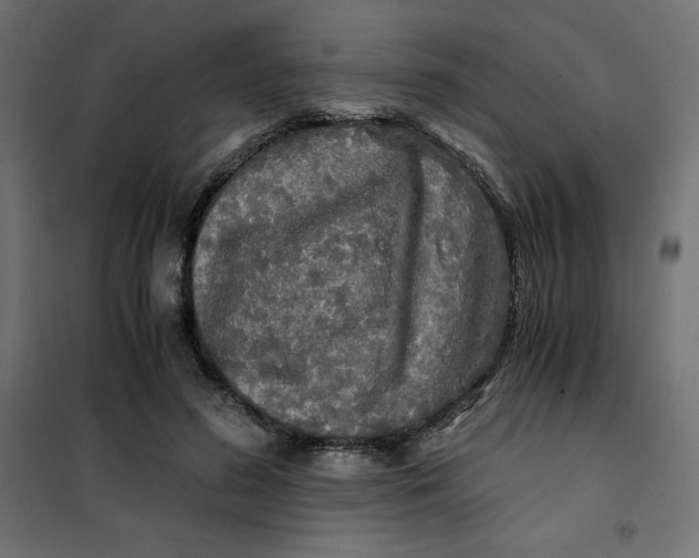 X0000101410596200807281027