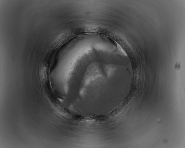X0000101410598200807281027