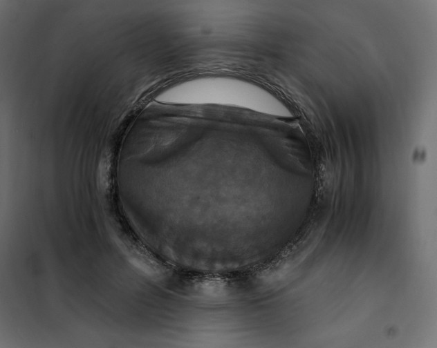 X0000101410600200807281027