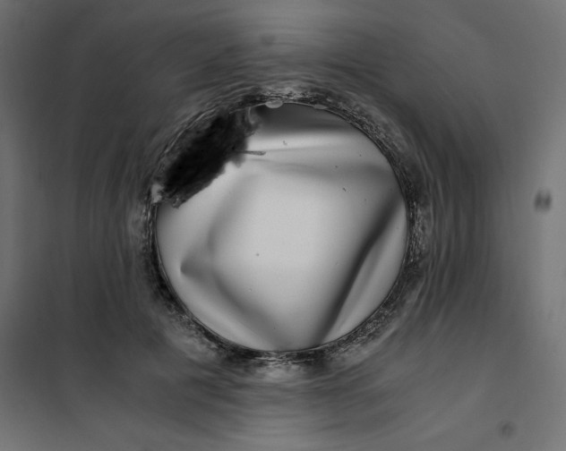 X0000101410601200807281027