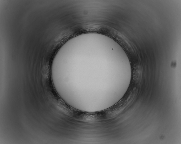 X0000101410604200807281027