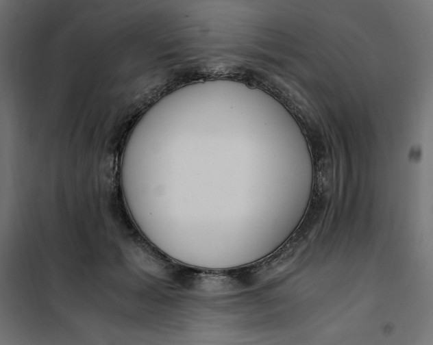 X0000101410605200807281027