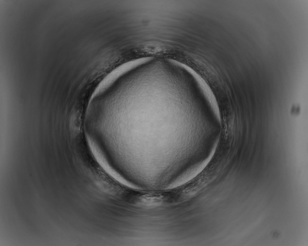 X0000101410606200807281027