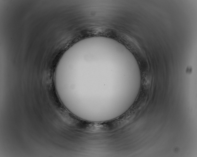 X0000101410607200807281027