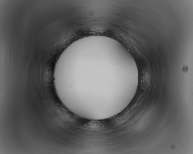 X0000101410608200807281027