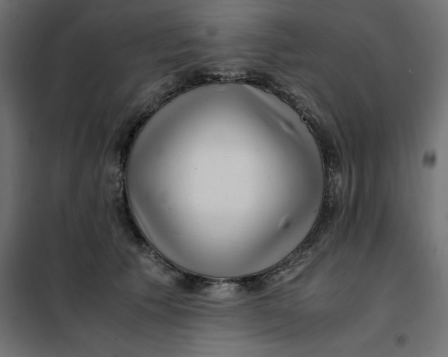 X0000101410609200807281027
