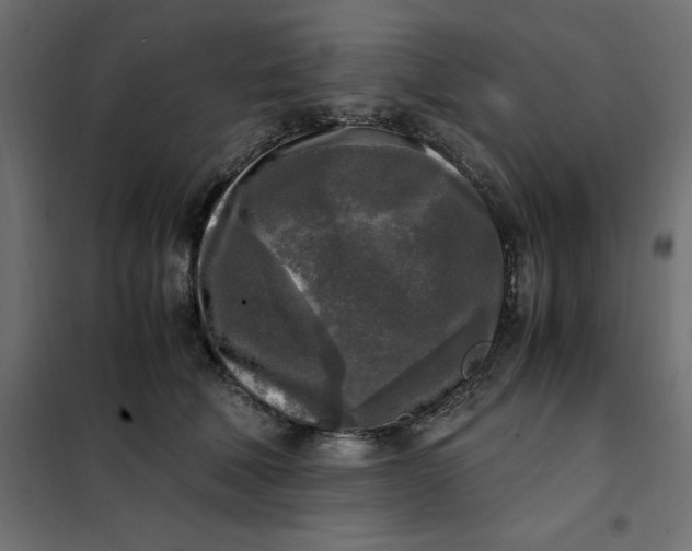 X0000101410610200807281027