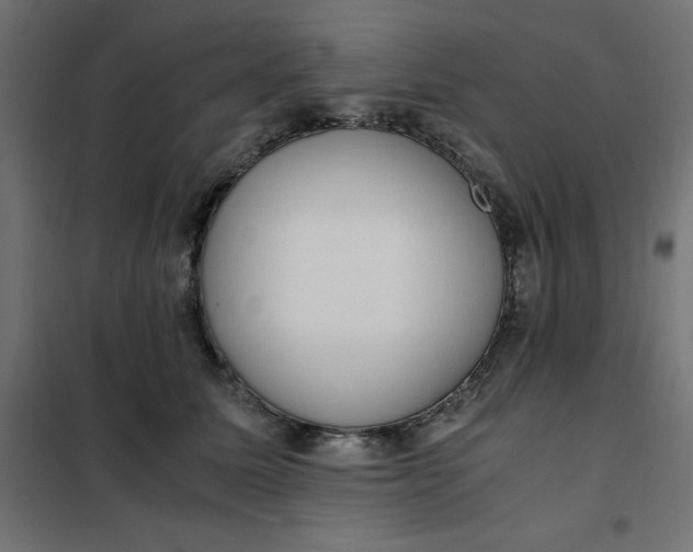 X0000101410611200807281027
