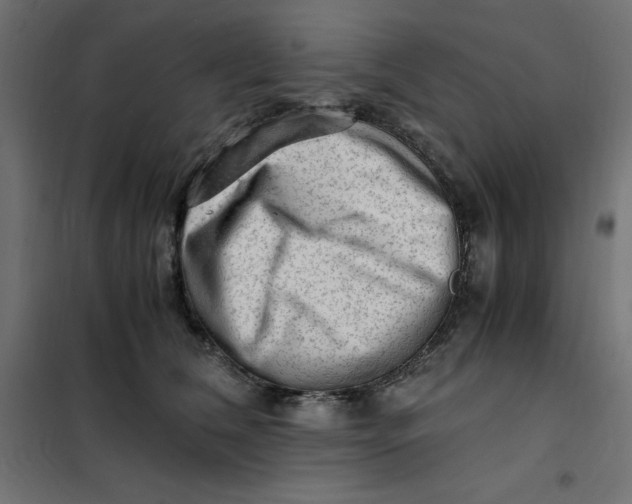 X0000101410612200807281027