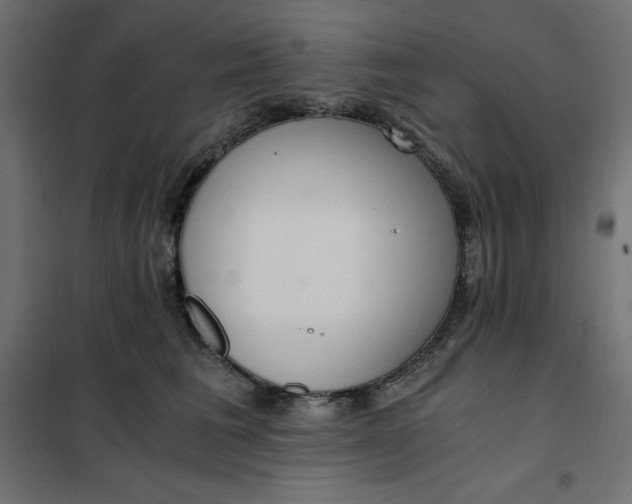 X0000101410613200807281027