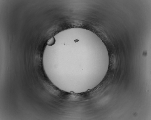 X0000101410614200807281027