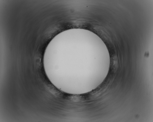 X0000101410615200807281027