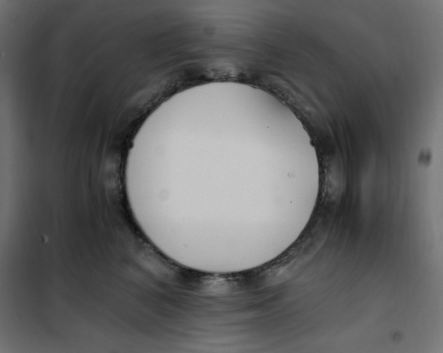 X0000101410616200807281027