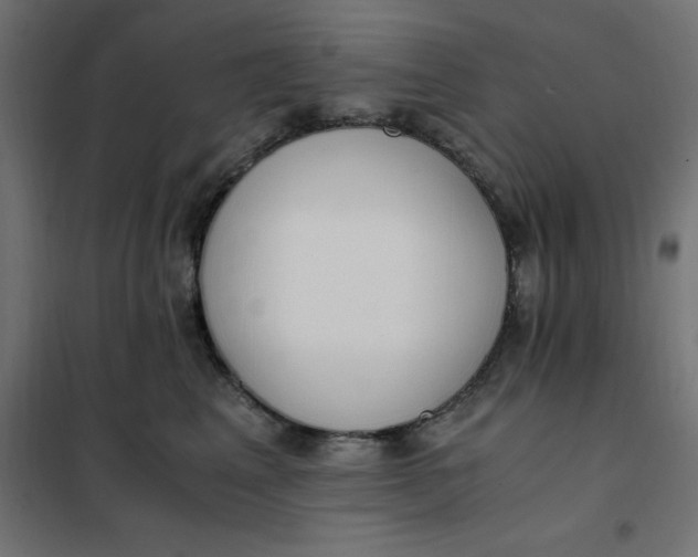 X0000101410617200807281027