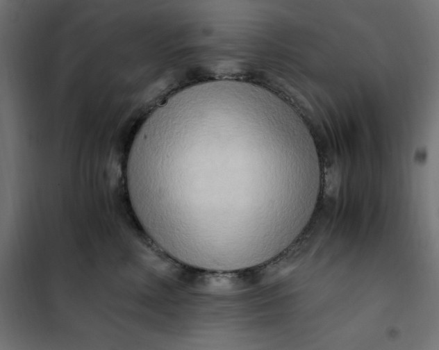 X0000101410618200807281027