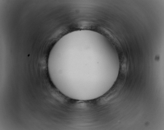 X0000101410620200807281027