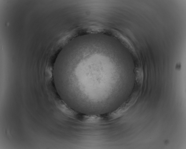 X0000101410621200807281027