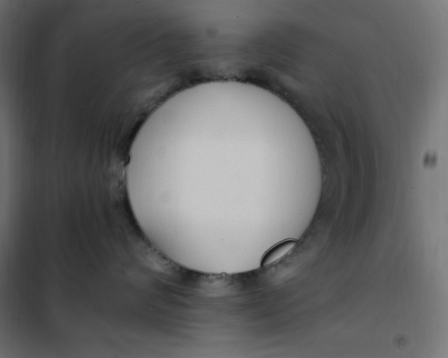 X0000101410624200807281027