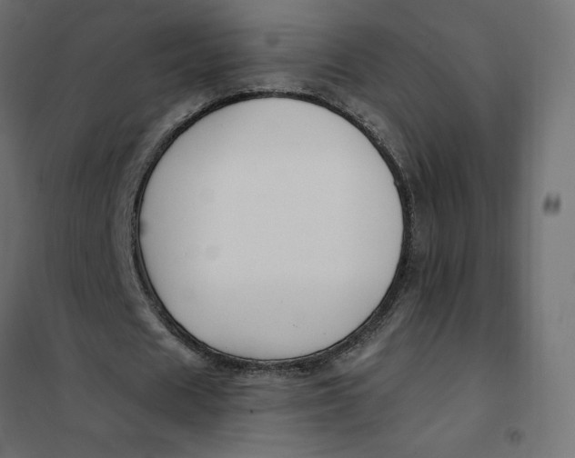 X0000101410625200807281026
