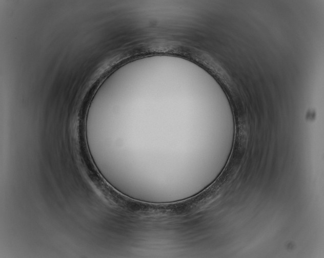 X0000101410626200807281026