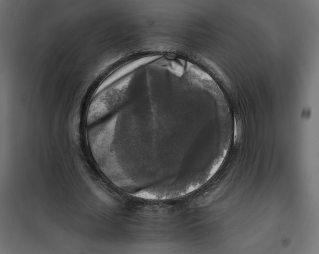 X0000101410627200807281026
