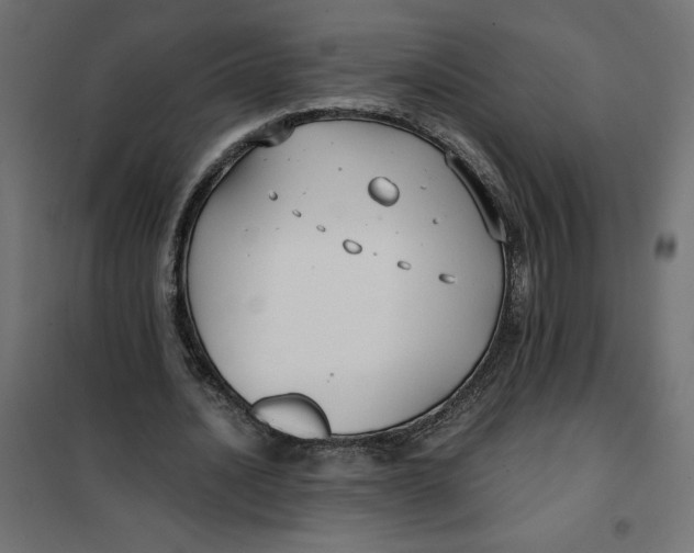 X0000101410628200807281026