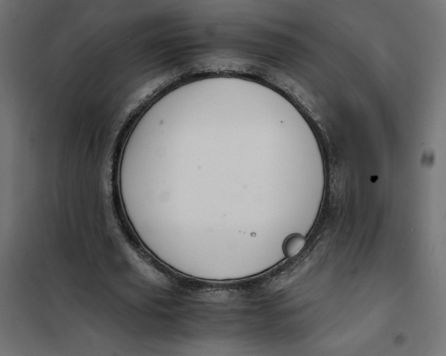 X0000101410629200807281026