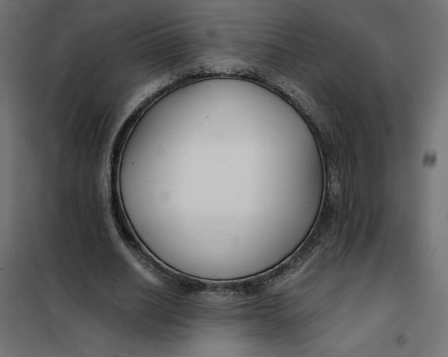 X0000101410630200807281026