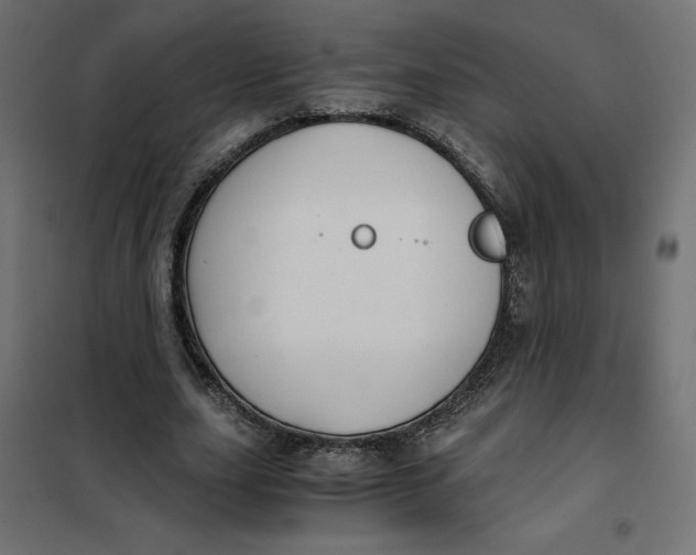 X0000101410631200807281026