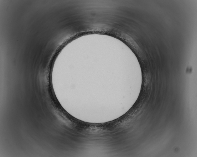 X0000101410632200807281026