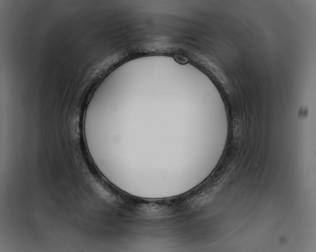 X0000101410633200807281026