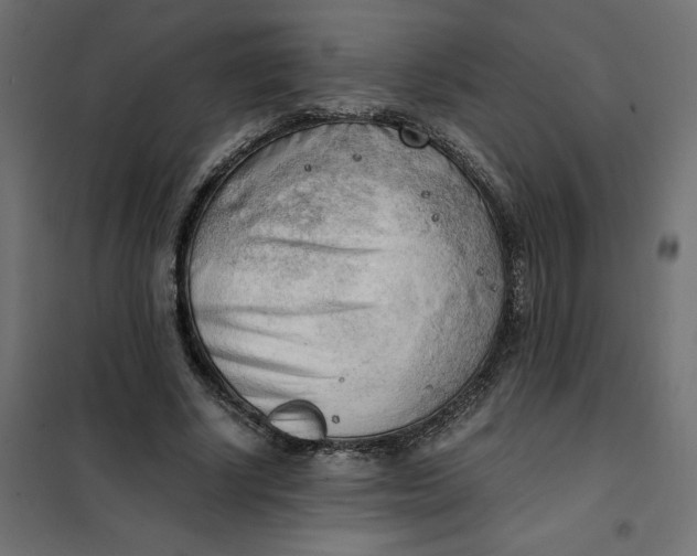 X0000101410634200807281026