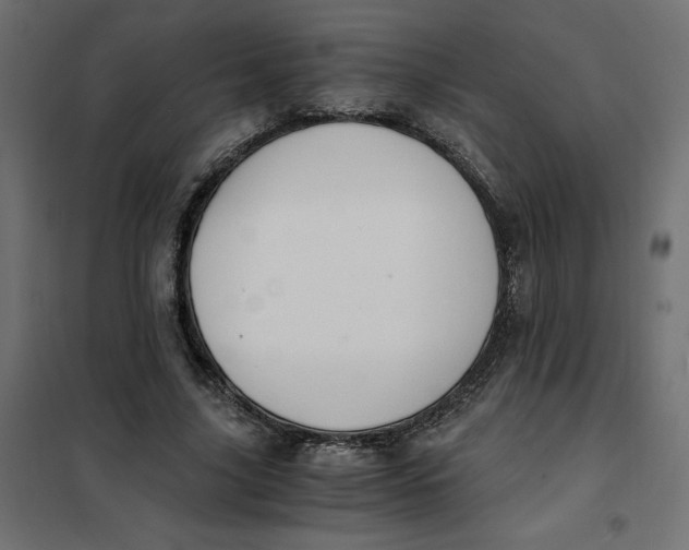 X0000101410635200807281026