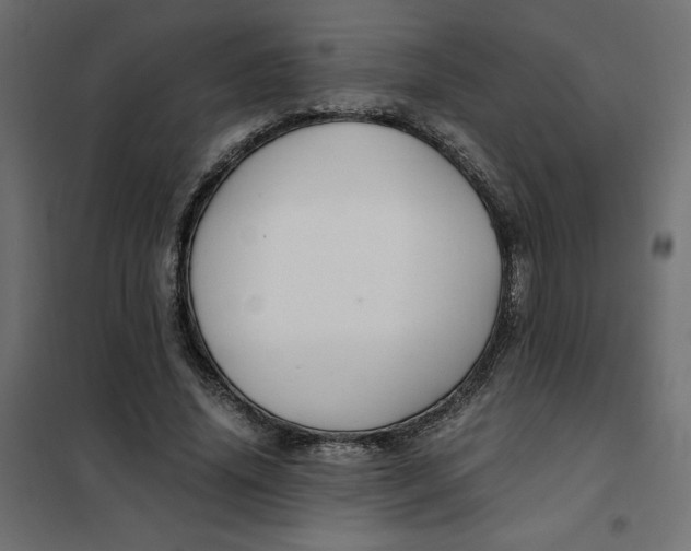 X0000101410636200807281026