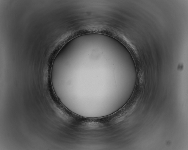 X0000101410637200807281026