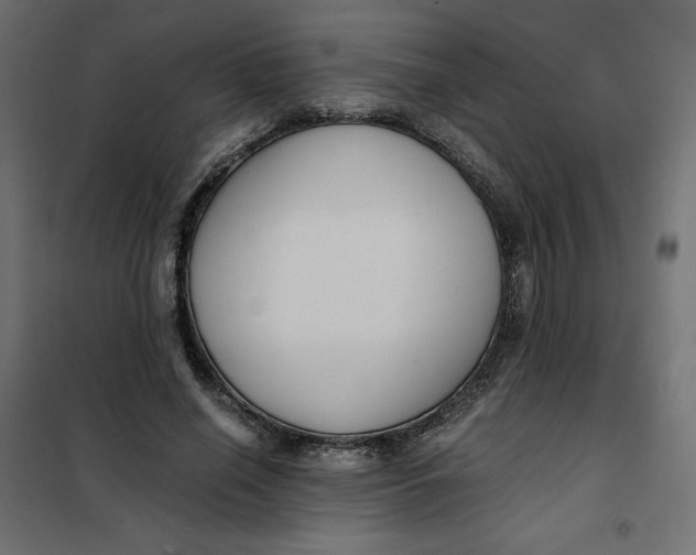 X0000101410638200807281026