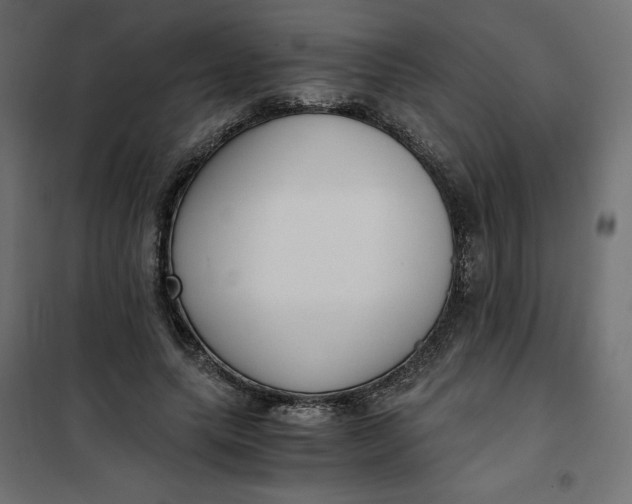 X0000101410639200807281026